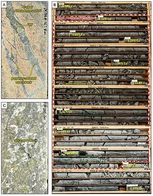 Figure 4. Core photos of DH26-136. A. Example of quartz-chalcopyrite stockwork cutting k-feldspar altered monzonite from the upper copper-gold zone (Table 1) at 167.8 meters downhole, B. Box photos showing drill core from 318.0 meters to 345.3 meters down hole which includes a high-grade interval of 21.5 meters of 5.63% Cu (Table 1). Individual down hole copper assay results are annotated at the sample depths to illustrate the distribution of copper grades within the interval. The interval consists of chalcopyrite-quartz stockwork and breccias and semi-massive chalcopyrite, C. Quartz-chalcopyrite breccia at 325.7 meters downhole. Abbreviations: Cu = copper, qtz = quartz, cpy = chalcopyrite, k-spar = potassium feldspar. Photographs of drill core are provided for illustrative purposes only. Visual estimates of mineralization are inherently imprecise and may not accurately reflect true grade. Readers are cautioned that photographic representations of mineralization should not be relied upon as a substitute for analytical assay results and do not represent the average grade of any sample interval.