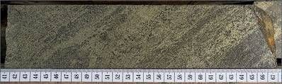 Figure 1. Copper-rich interval from CMR26-199 at 343.40 meters(i)