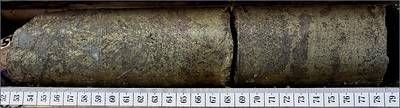 Figure 3. Chalcopyrite-rich interval from CMR26-201 at 350.5 meters(i)