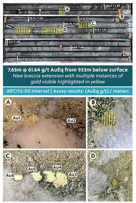 Figure 2: Drill Core Tray Photo Highlighting Visible Gold Mineralization Encountered in Hole APC172-D2 Within the New Northern Breccia Body Expansion