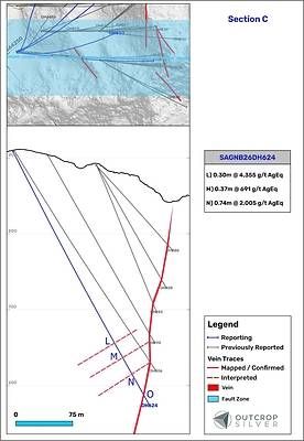 Figure 6. Geological cross-section C showing the Las Maras vein system. The cross-section's width is 100 meters. Lengths are downhole and do not represent estimated true widths. Figure 6. Geological cross-section C showing the Las Maras vein system. The cross-section's width is 100 meters. Lengths are downhole and do not represent estimated true widths.