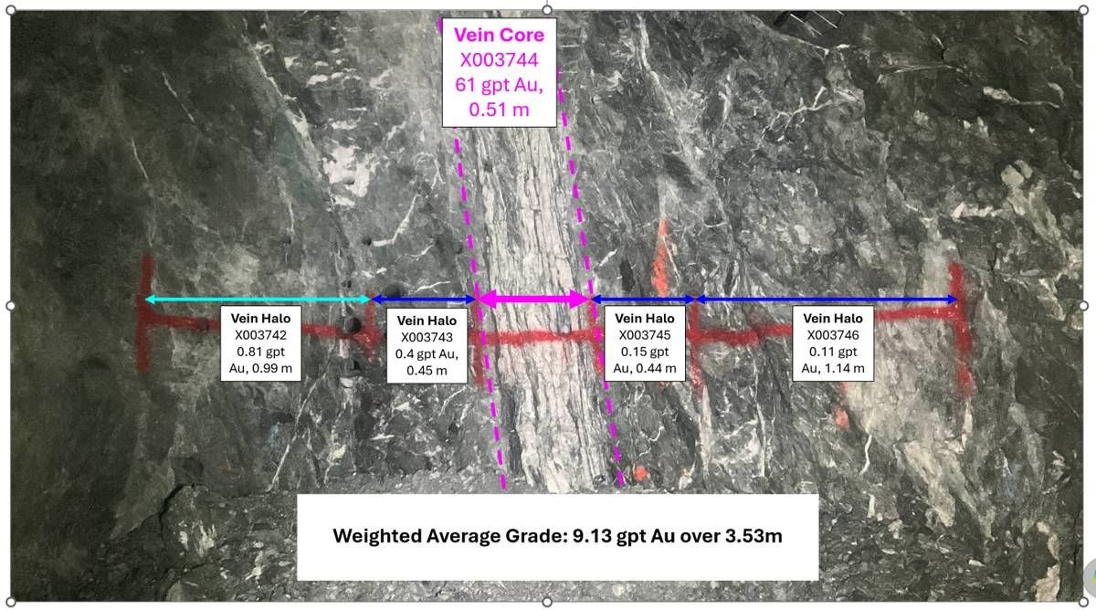 Lateral development face illustrating the impact of dilution on grade. The central quartz vein returned 61.0 g/t Au over a true width of 0.51 m, while the surrounding vein halo material returned low grades of less than 1.14 g/t Au. When the full development width of 3.53 m is considered, the weighted average grade decreases to 9.13 g/t Au, demonstrating the significant impact of dilution from low-grade wall rock and vein halo material. The XRT sorter is interpreted to preferentially reject much of this low-grade vein halo while retaining the high-grade vein core, thereby reducing dilution and enhancing the recovery of dense sulphide-associated gold mineralization