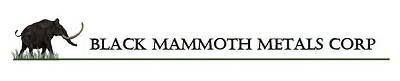 Black Mammoth Metals Corporation logo Black Mammoth Metals Corporation logo