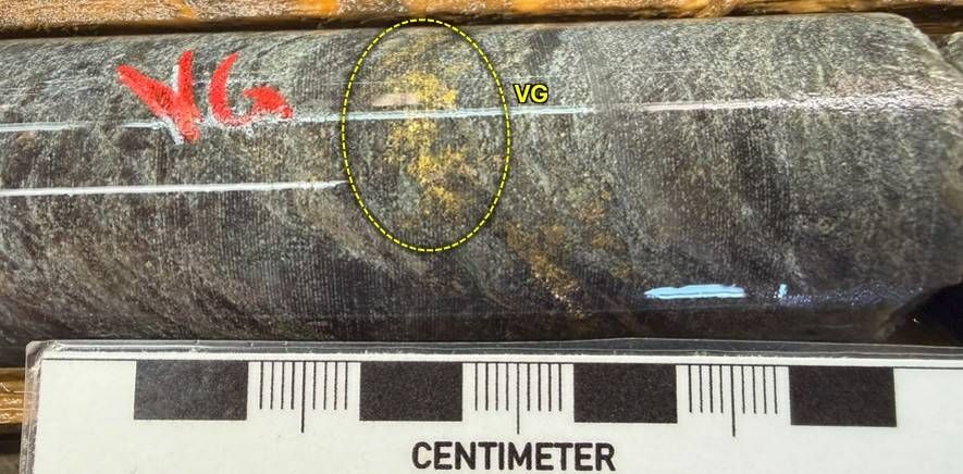 14-4929-025_vg