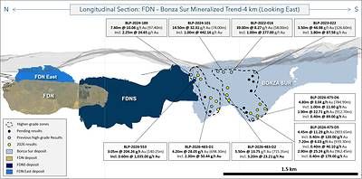 Figure 2: Longitudinal section showing the FDN-Bonza Sur epithermal trend with new and previously reported exploration drilling results at the Bonza Sur deposit.