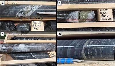 Figure 4. Diamond drill core from Killerö W drilling. A) chalcopyrite-pyrrhotite-bearing quartz-carbonate vein (KW-001, 144.0m); B) Chalcopyrite-rich quartz-carbonate vein (KW-002, 211.8m) (211.4-212.4m 1m @ 0.98% Cu); C) Pyrrhotite-bearing quartz-carbonate vein (KW-002, 238.0m); D) Foliation parallel sulfides (KW-002, 363m).
