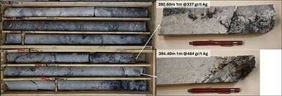 Figure 3. Hole QVD-475: Core samples from interval 390.0 to 395.0 meters.High-grade mineralization is prominently featured in specific sub-intervals from within the main interval.