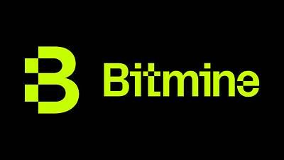 Bitmine Immersion Technologies, Inc. logo Bitmine Immersion Technologies, Inc. logo