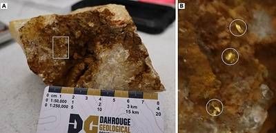 Figure 1: Quartz vein sample from the North Vein Target containing visible gold (A; scale in centimetres). The boxed area is enlarged in B, with gold grains circled. Figure 1: Quartz vein sample from the North Vein Target containing visible gold (A; scale in centimetres). The boxed area is enlarged in B, with gold grains circled.