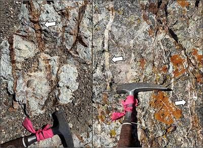 Figure 4 – Separate Sets of Sheeted Quartz Veins at Mustang North.