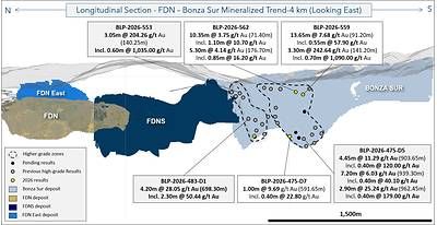 Figure 5: Long Section showing FDN, FDNS, FDN East and Bonza Sur deposits with selected exploration drilling results at Bonza Sur.