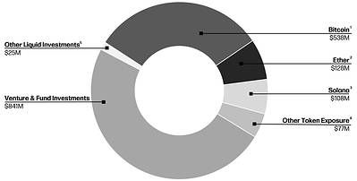 Treasury & Corporate Net Digital Asset and Investment Exposure