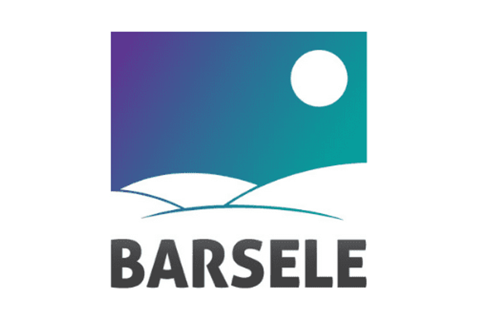 Barsele Enters into Non-Binding Letter of Intent to Acquire Remaining 55% Interest in the Barsele Project from Agnico Eagle