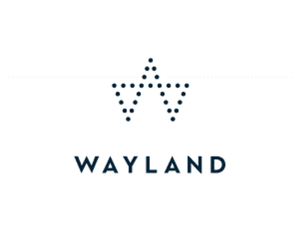 Wayland Group Announces Changes to the Board of Directors