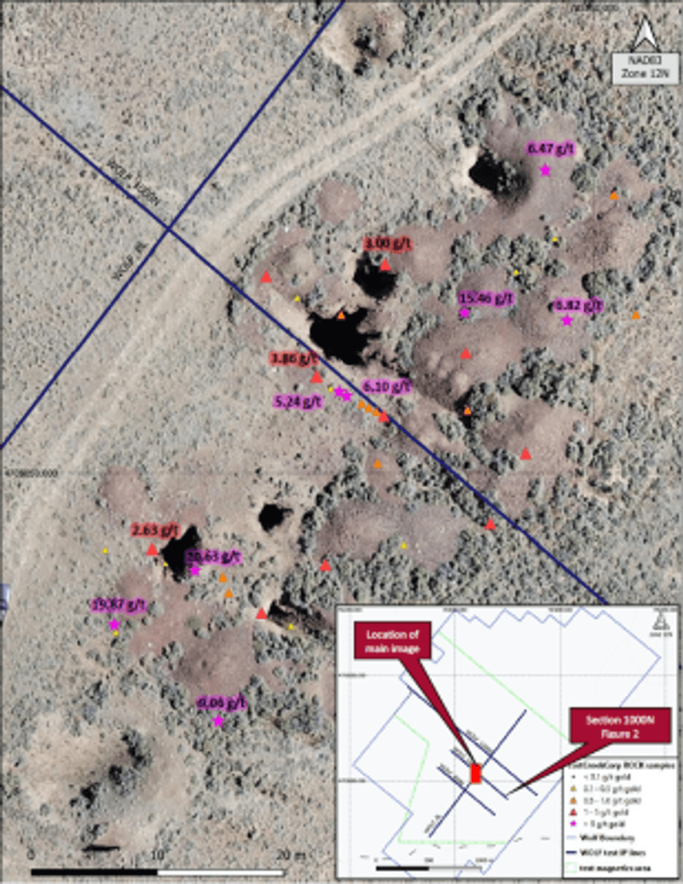 Visionary Gold Corp Announces Initial Wolf Gold Project Field Results