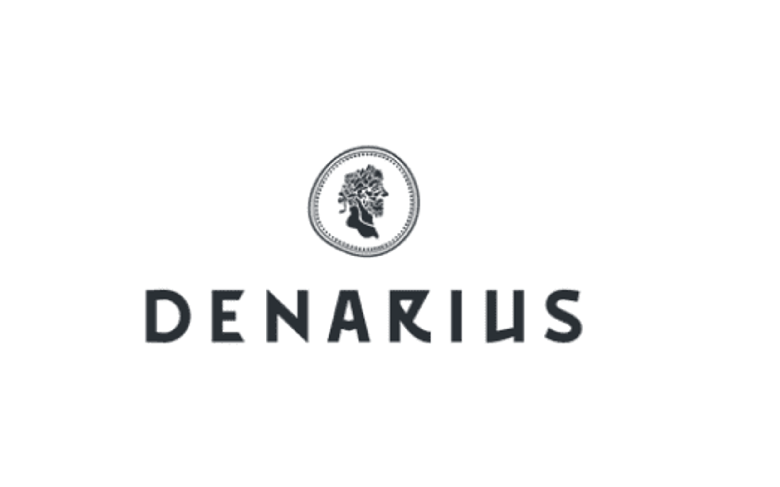 Denarius: Advancing Projects in High Grade Mining Districts, CEO Clip Video