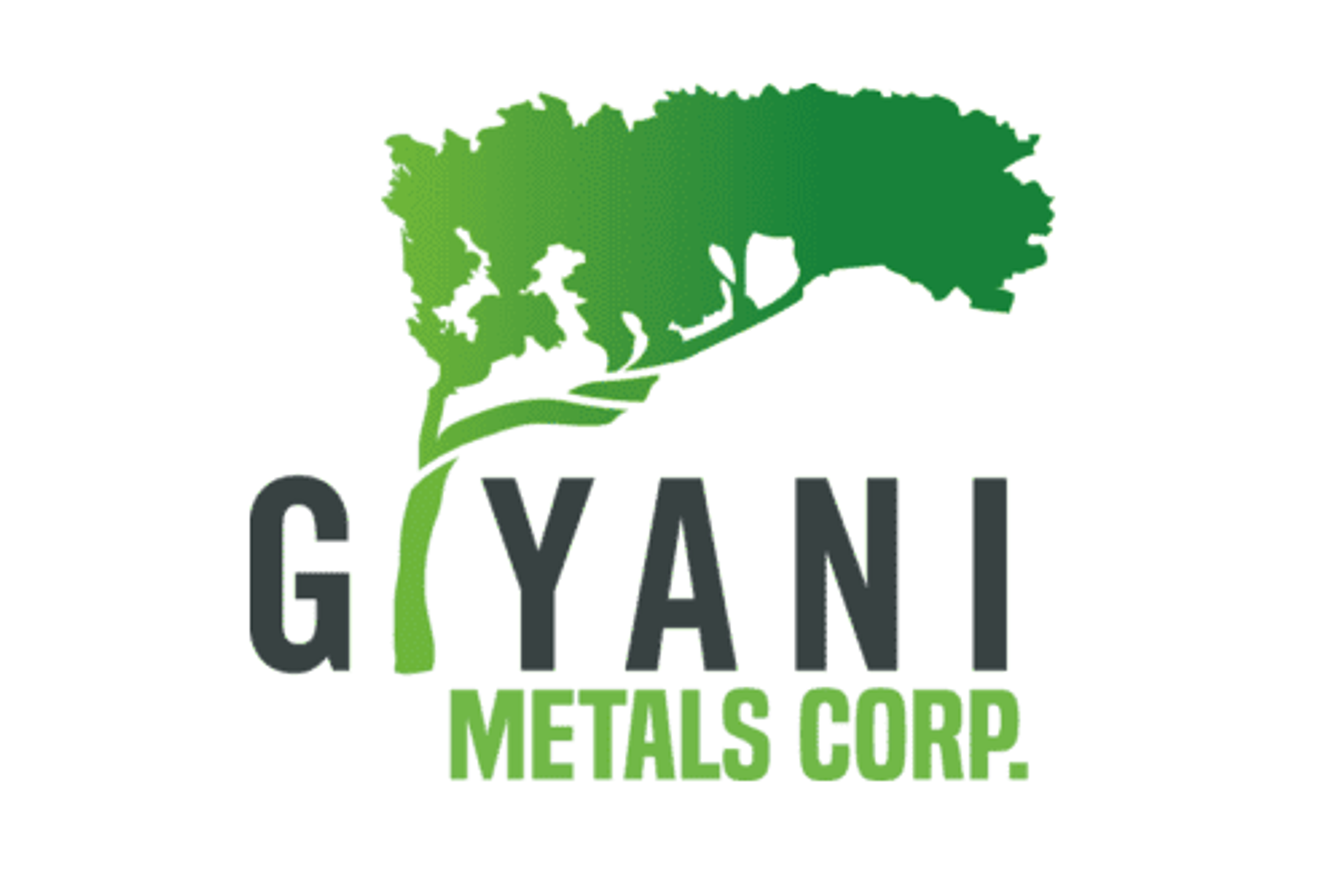 Giyani Announces Grant of Options