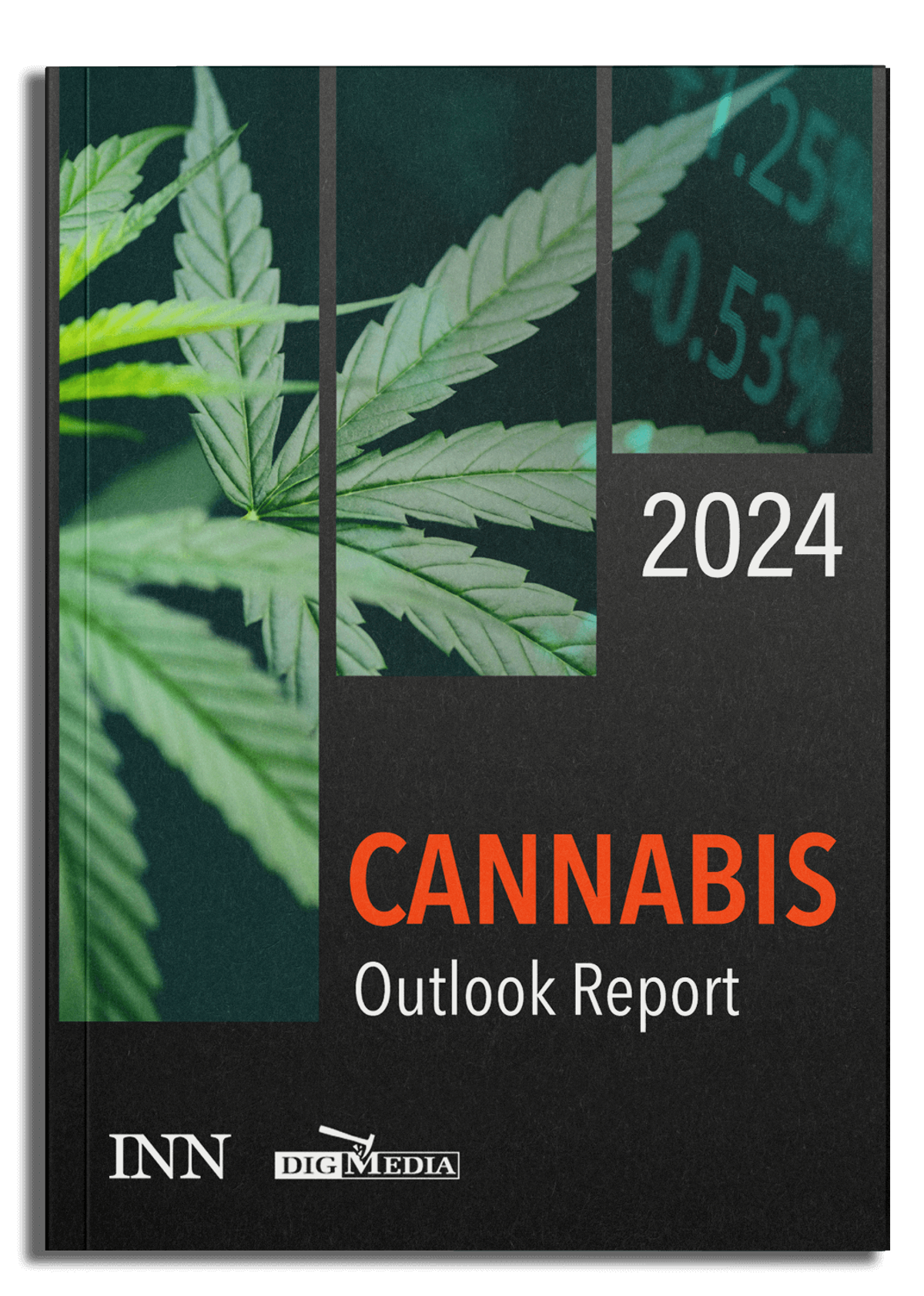 2024 Cannabis Market Outlook