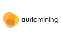 Auric Mining (AWJ:AU)