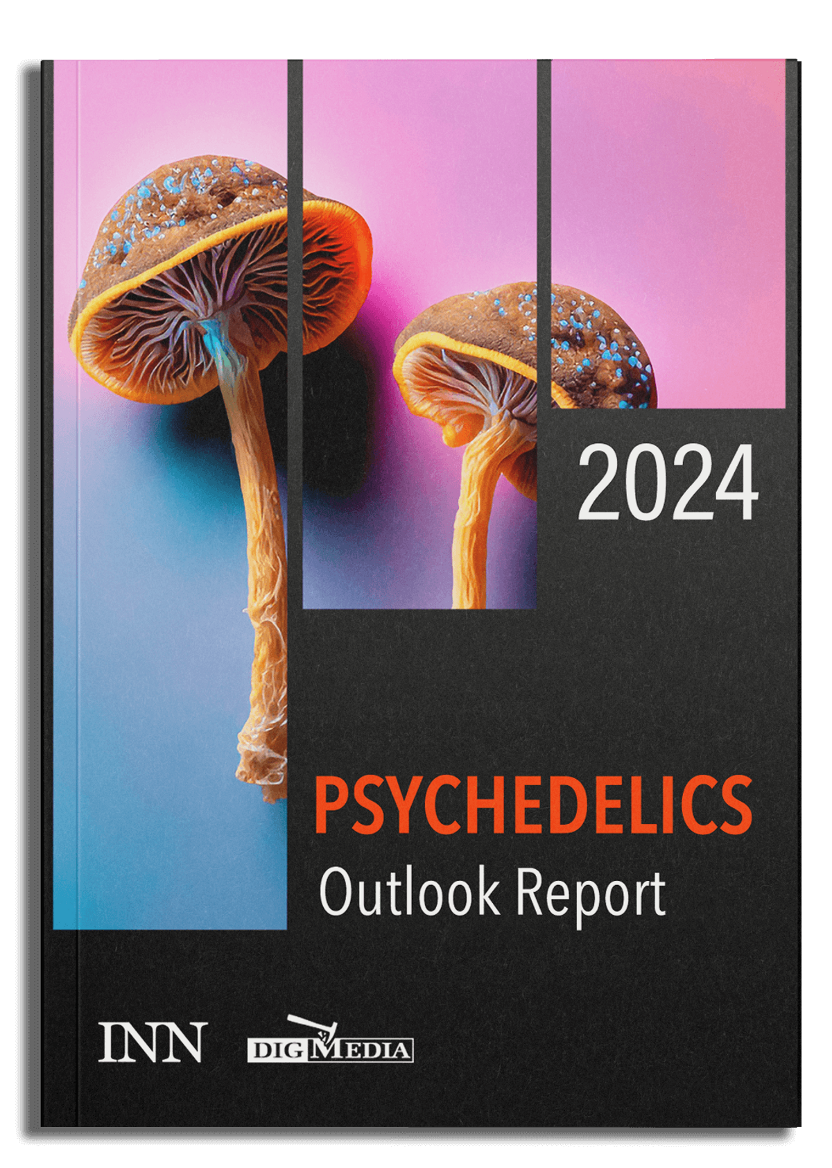 Psychedelics Outlook Report