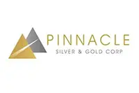 Pinnacle Silver and Gold (PINN:CC)