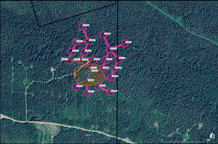 Location of the West Sector Drilling (South Zone)