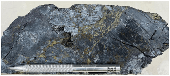 Cannot view this image? Visit: https://images.newsfilecorp.com/files/11018/284414_gp0218_2_560.png