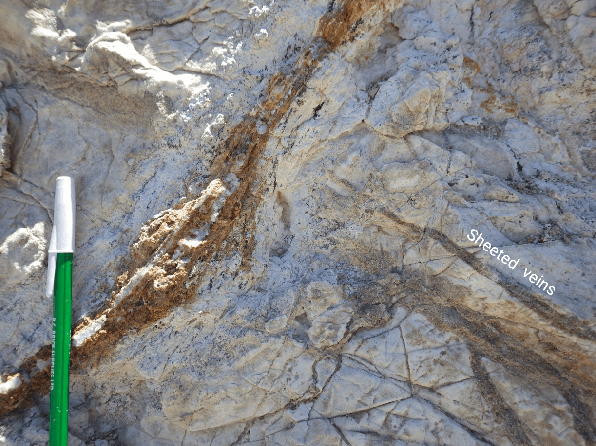 Figure2_NB_JeepVeins