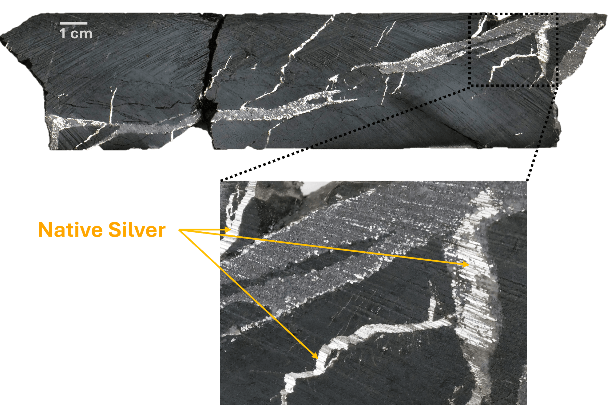 Figure 1 NR 18Mar2026