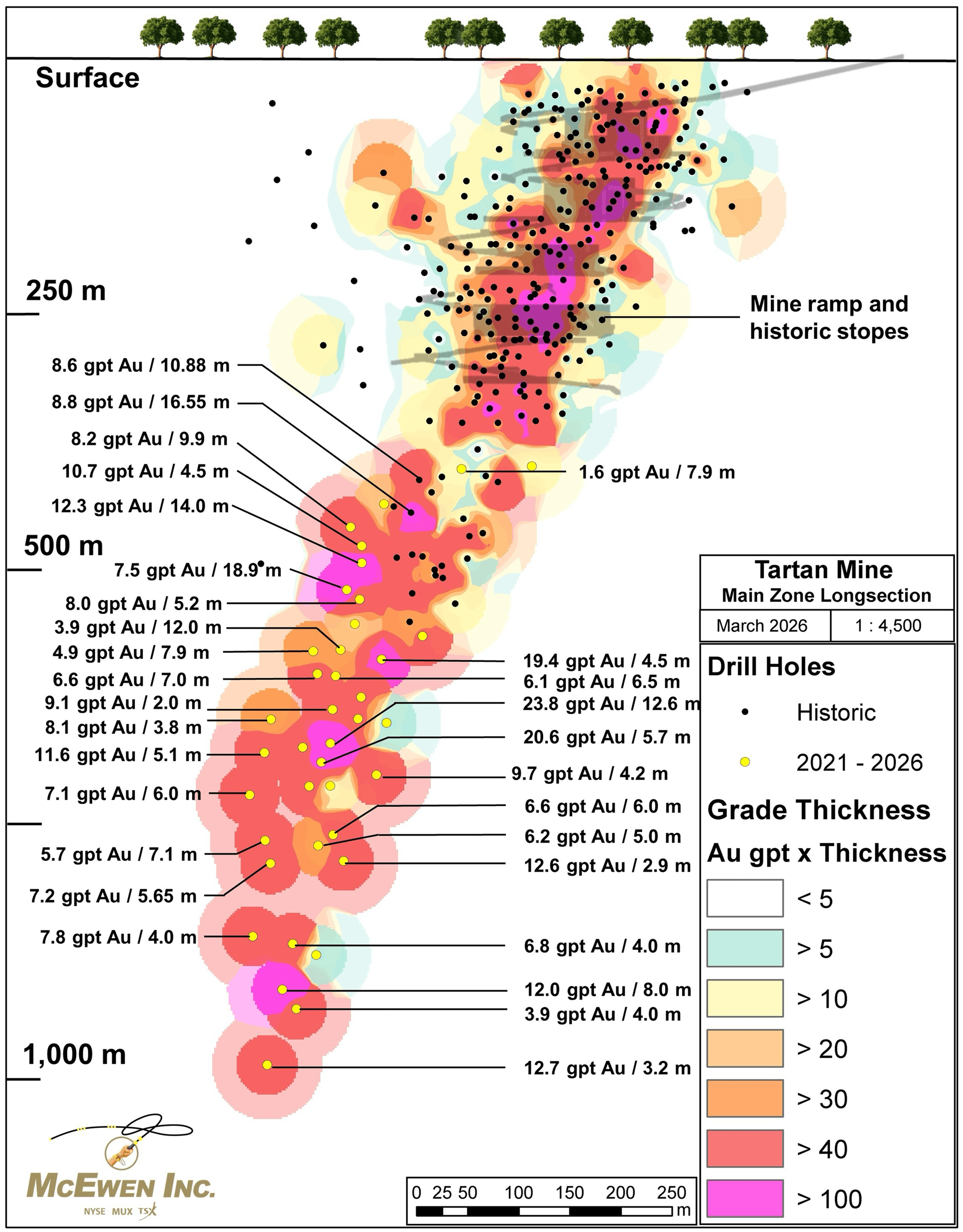 Figure 3: Long Section of Tartan Mine's Main Zone.