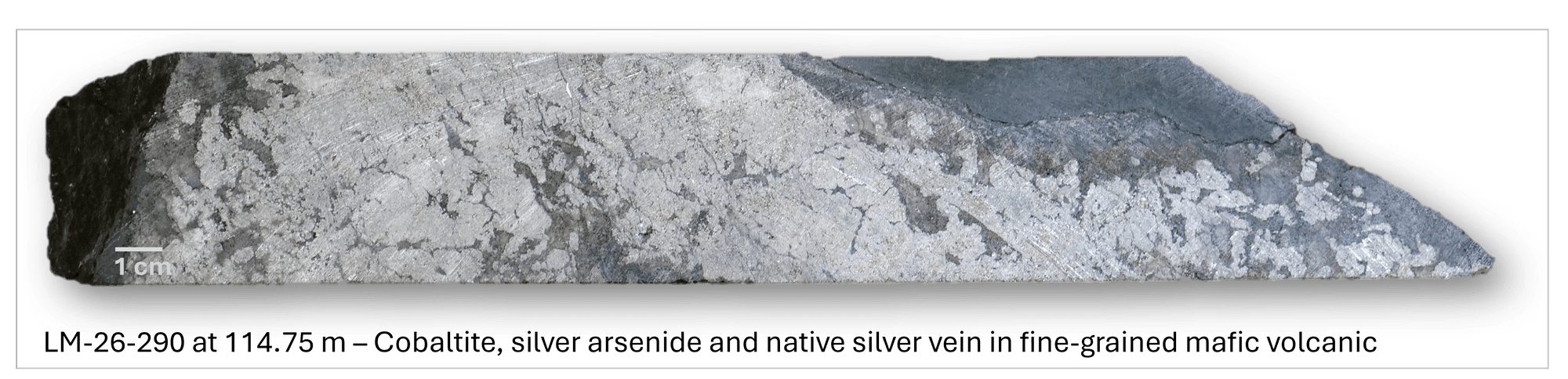 Figure 6 NR 25Mar2026