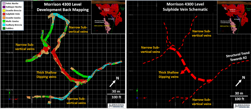Figure3: Plan View of the Morrison Deposit 4300 Level Illustrating the Controlling Structures and Orientation of Mineralized Veins