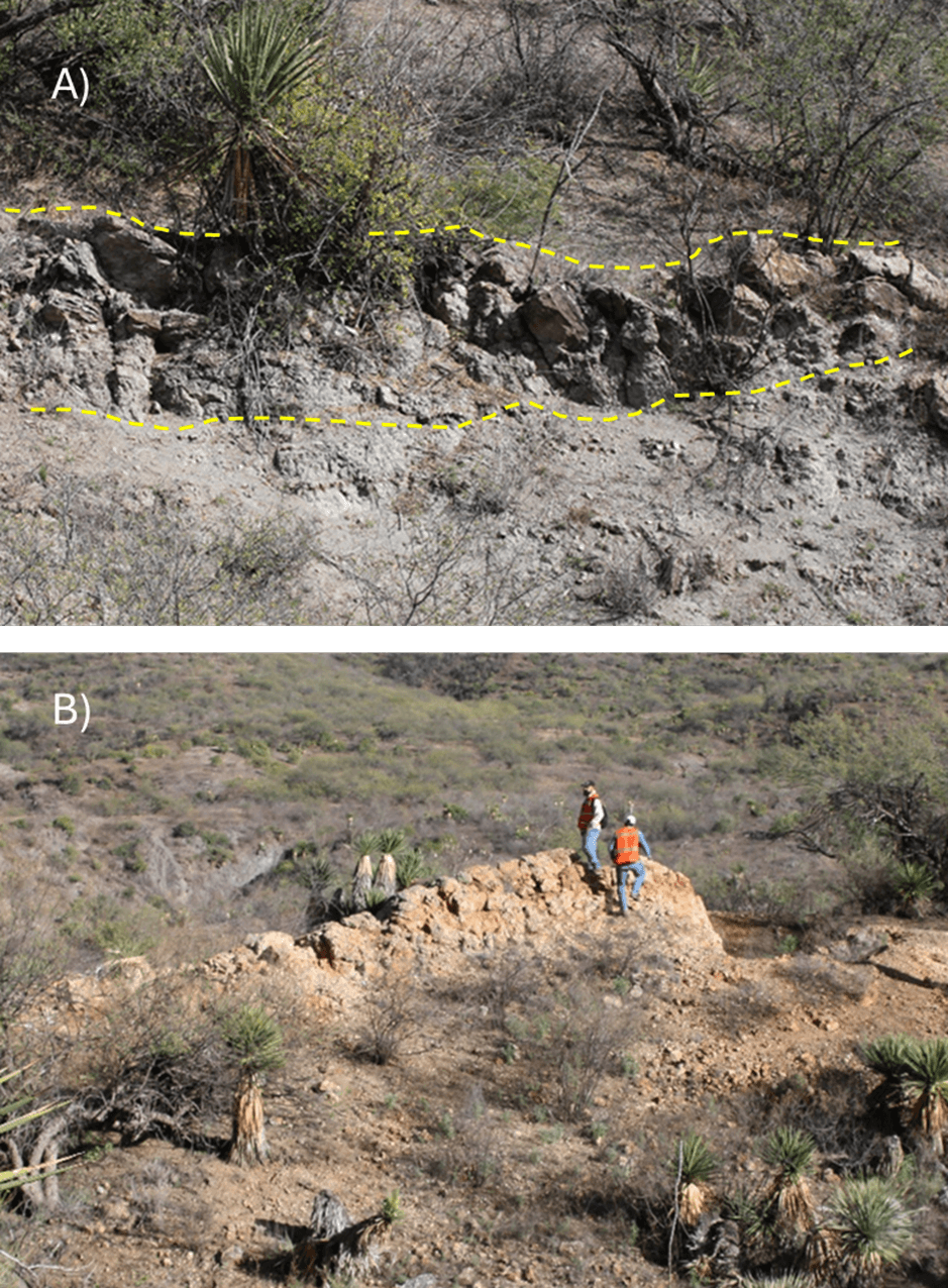 A) and B) Vein outcrops along Oso Negro Property. B) 150 m outcrop of quartz vein with 1.5 m wide.