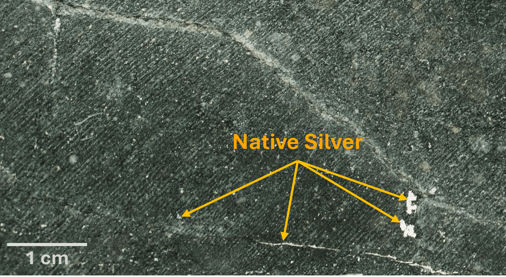 Figure 2 Photo 355