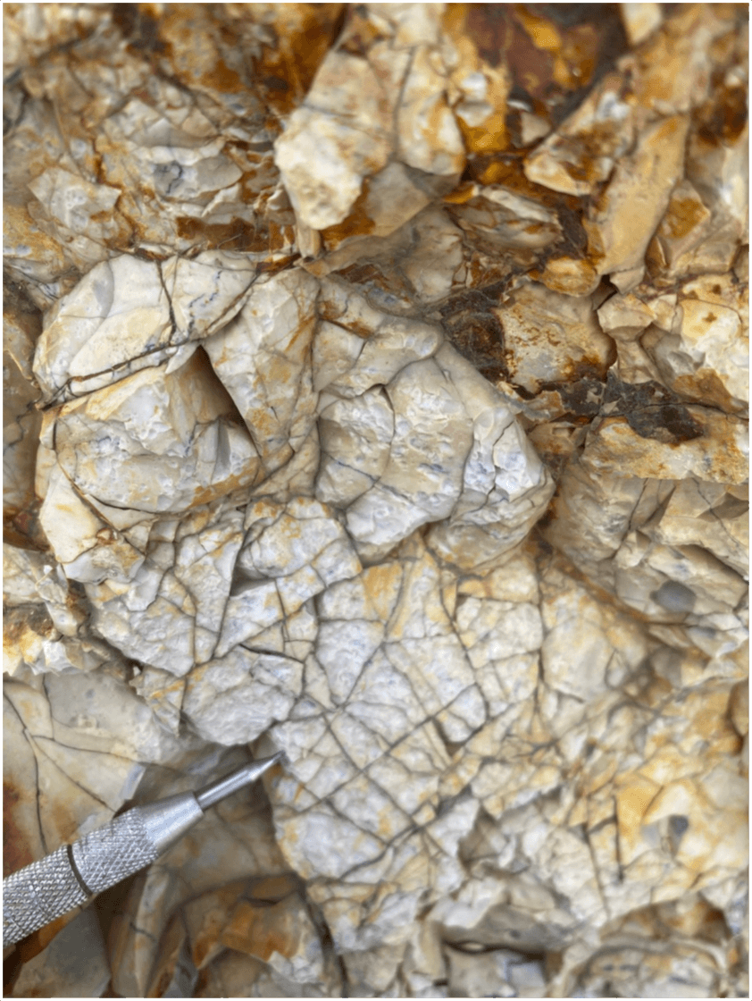 Replacement silicification and crackle brecciation