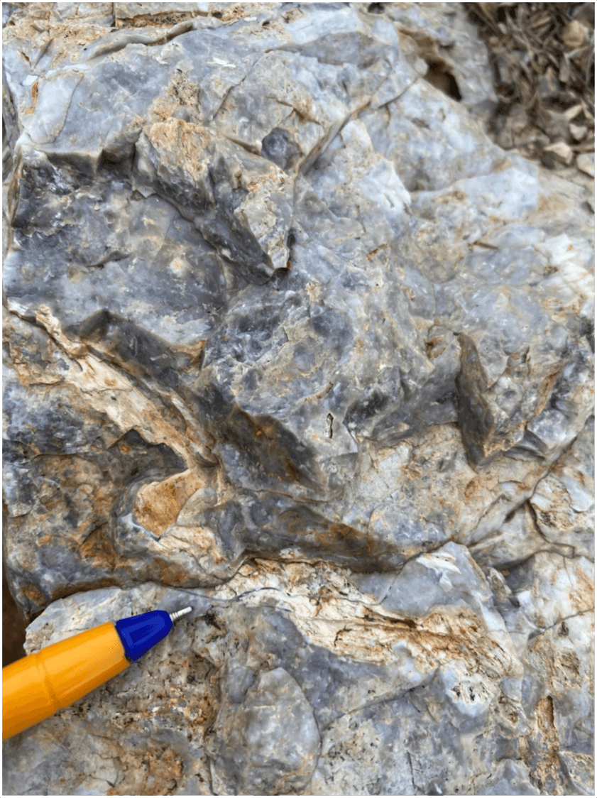 Stratabound chalcedonic silicification