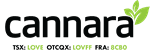 Primary Logo