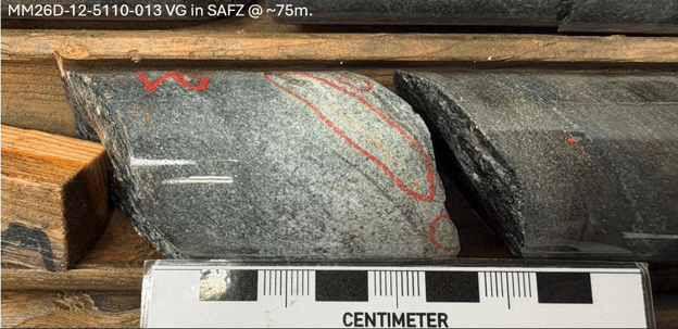 Figure 1_vg