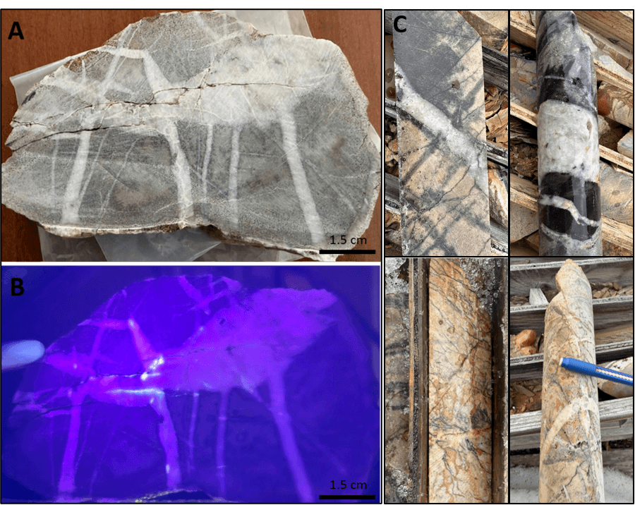 Float rock sample collected at the Kalzas Project. A. Hand Sample showing quartzite with quartz and quartz-tourmaline veins. B: Same sample under UV illumination showing scheelite fluorescence concentrated along fracture and quartz intersection. C: Examples of lithology, alteration, and mineralization (K-08-11 drill core). Quartzite with quartz stockwork veins with tourmalinization and sericitization (dark patches) along selvage and fracture.