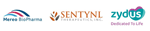 Primary Logo
