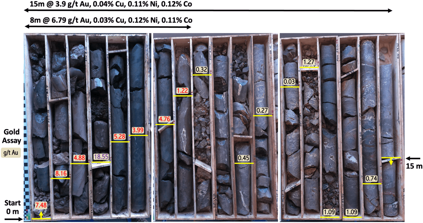 Figure 3 – Drillhole PVD15 drill core with corresponding gold grades