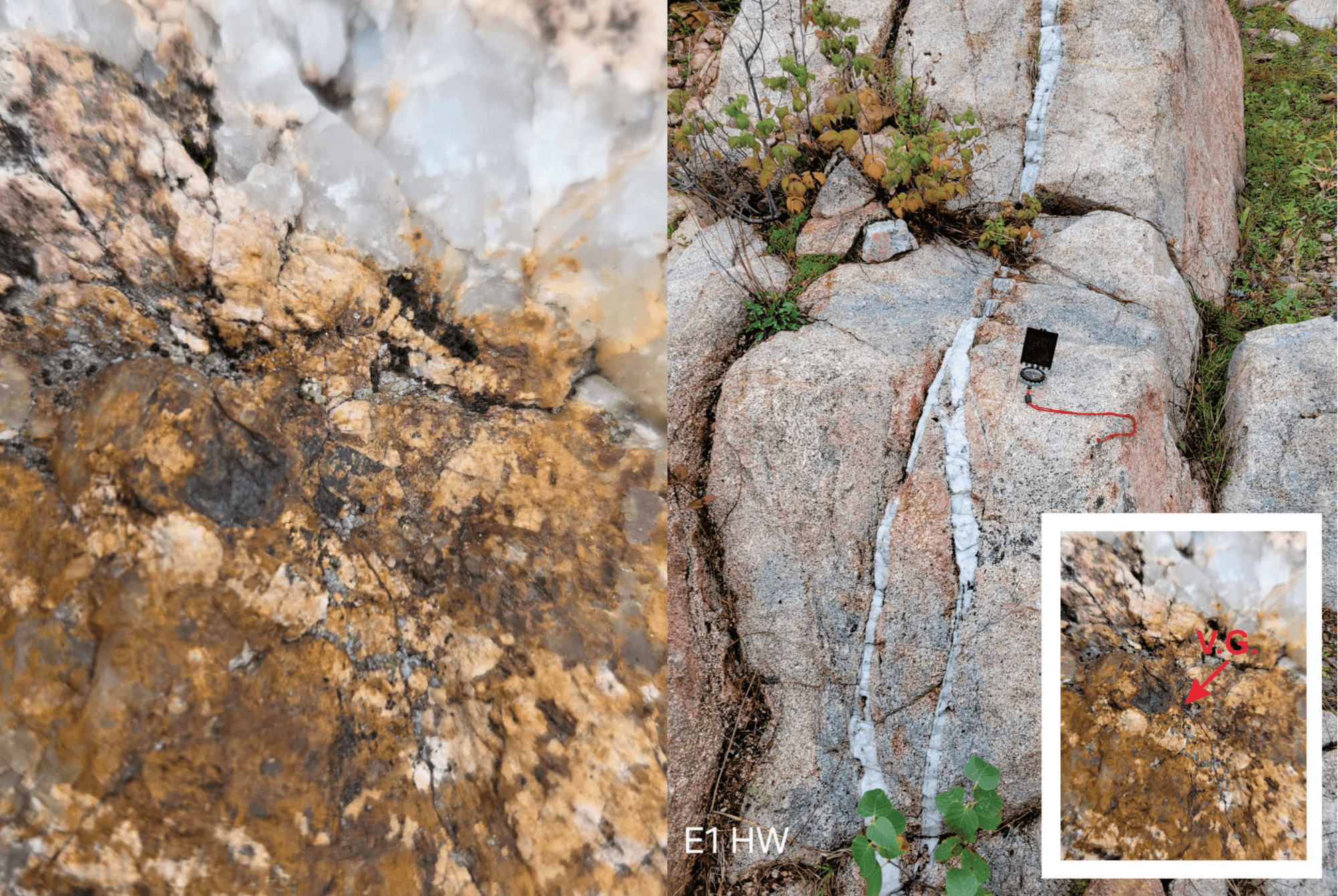 Figure 3: Visible gold with pyrite in quartz veining in hanging wall of the E1 gold occurrence.