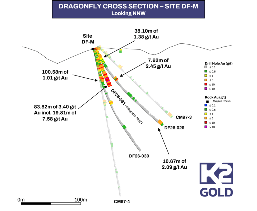 Dragonfly Cross Section
