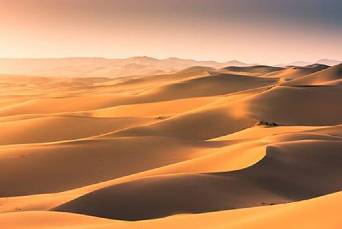 investing in mongolia