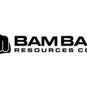 bam bam resources