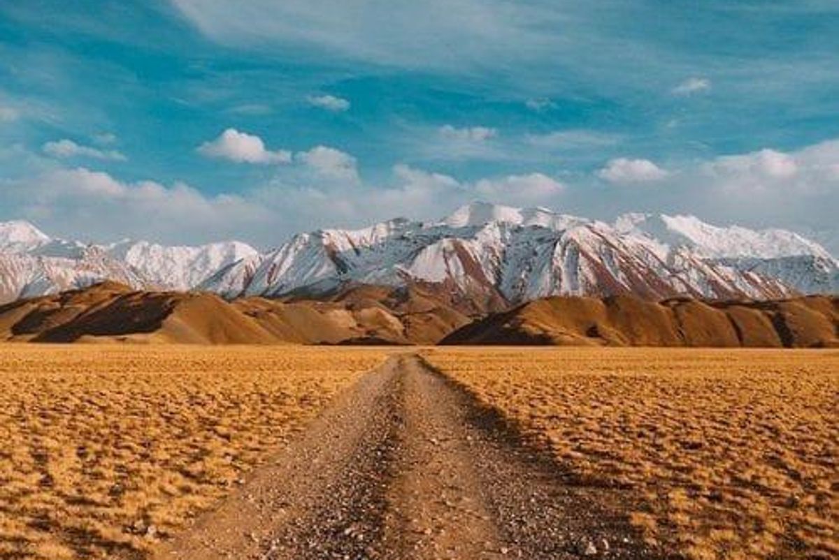 iron ore price forecast