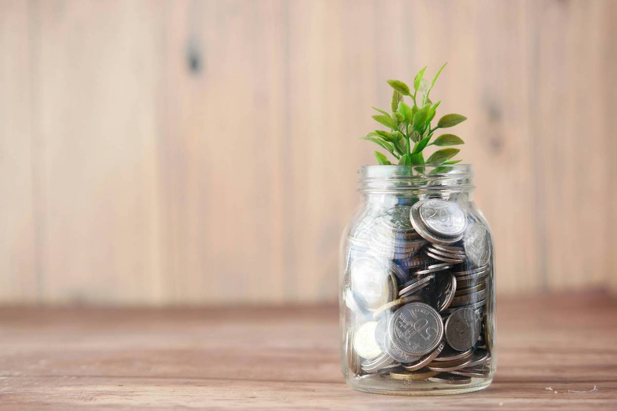Jar of coins with a small plant growing on top, symbolizing financial growth.