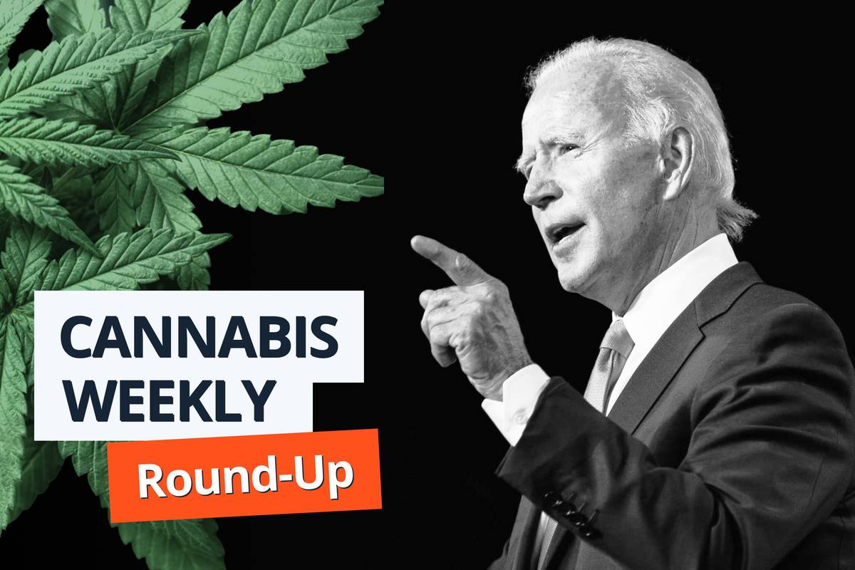 joe biden, cannabis leaves