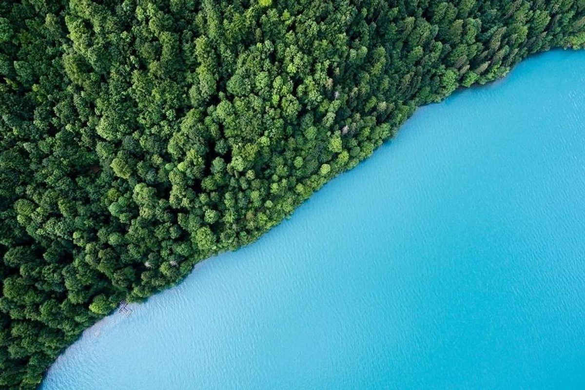 lake edge from above