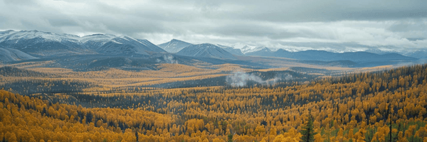 Image for LaFleur Minerals